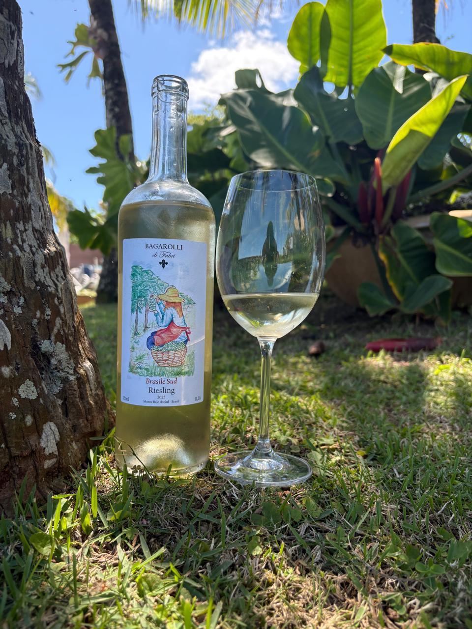 Riesling Brasile Sud 2025