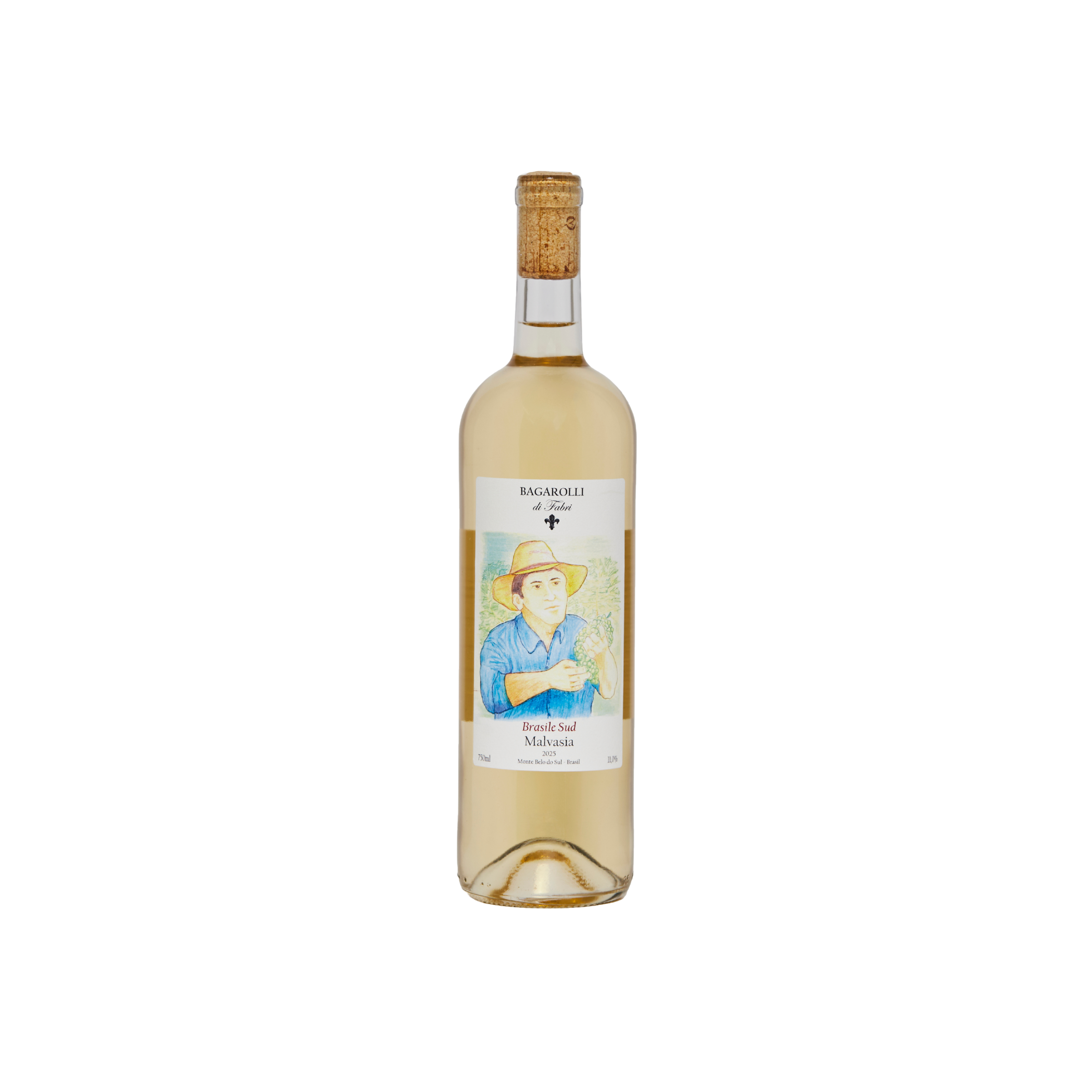 Malvasia Brasile Sud 2025